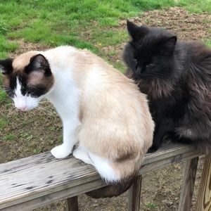 Meet your Posher, Shannon